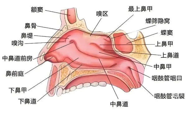 微信截图_20250117161935.jpg