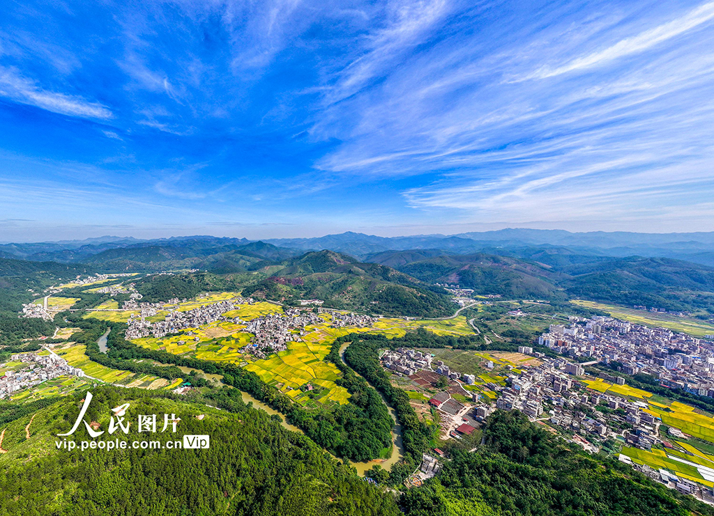 广西梧州：田园“丰”景如画