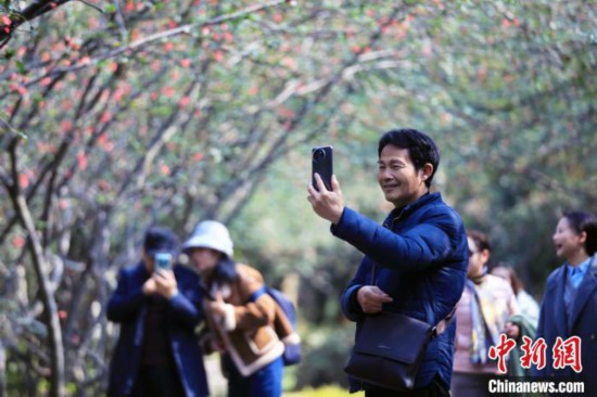 成都：海棠花开引游人