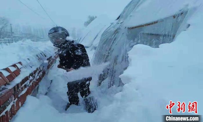 图为公安民警帮助清理大棚积雪。　通辽市公安局供图